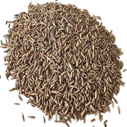 Brown Cumin Seeds