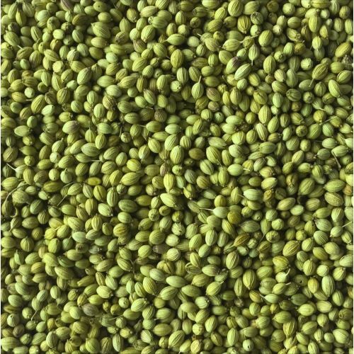 Dried Coriander Seeds