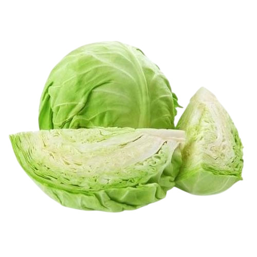 Fresh Cabbage