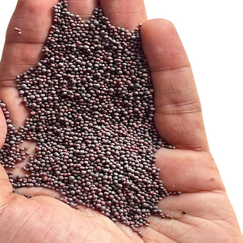 Micro Black Mustard Seeds