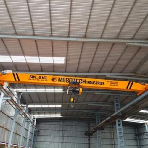 Precision Lifting EOT Crane
