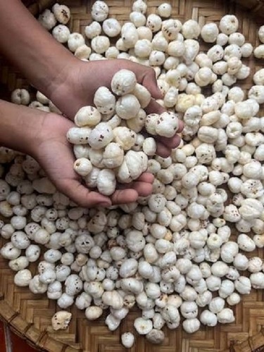 Raw Phool Makhana