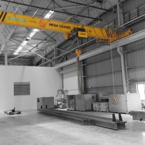 Single EOT Crane