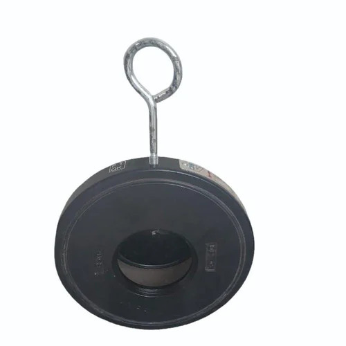 Inter Valve Wafer Check Valve