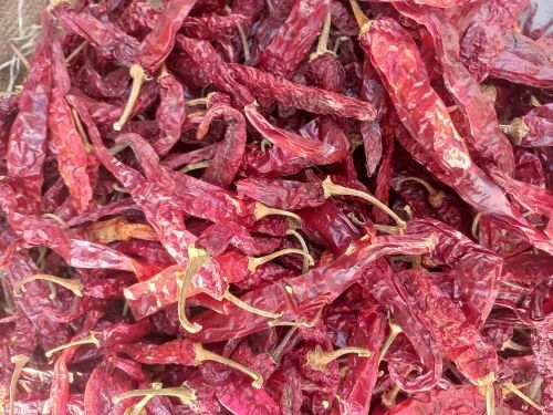 Teja S17 Dry Red Chilli
