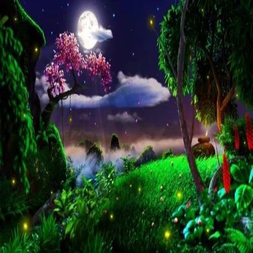 3d Nature Customized Wallpaper