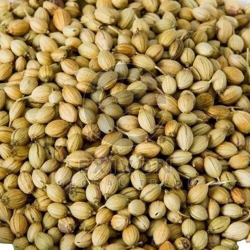 Coriander Seeds
