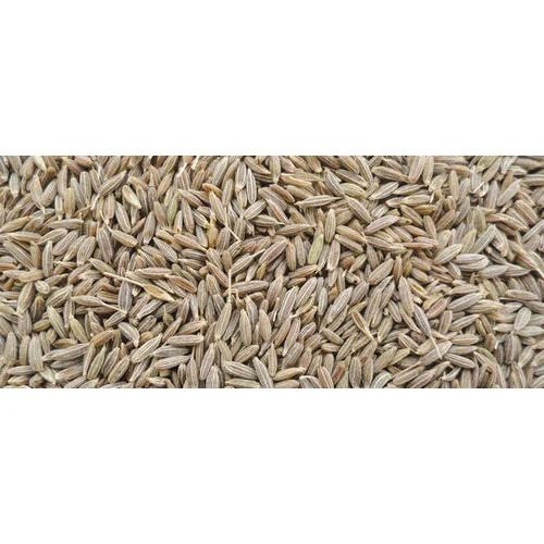 Cumin Seed