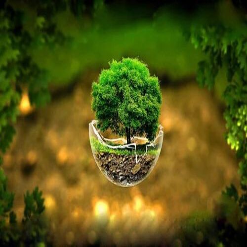 Customized 3d Wallpaper