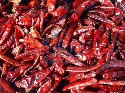 Dry Red Chilli By Hawk Impex