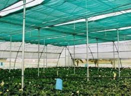 Shed Nets