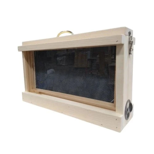 Stingless Bee Colony Frame