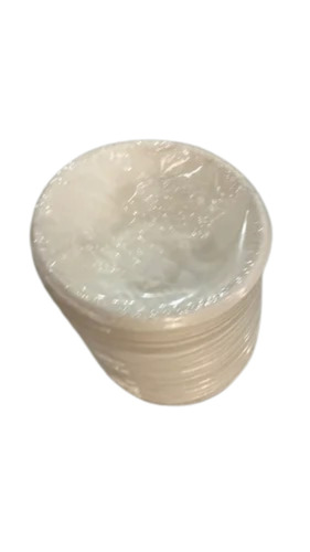 Sugarcane Disposable Plate