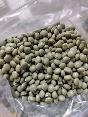 Reprocessed Pp Granules - Color: Light Green
