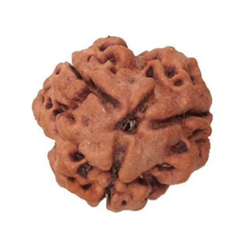 Round Brown 3 Face Rudraksha - Features: Durable