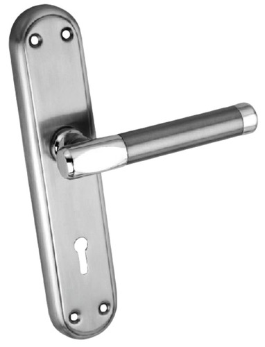 Ash 083 Ss Mortise Door Handle