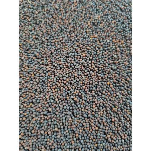 Black Mustard Seeds
