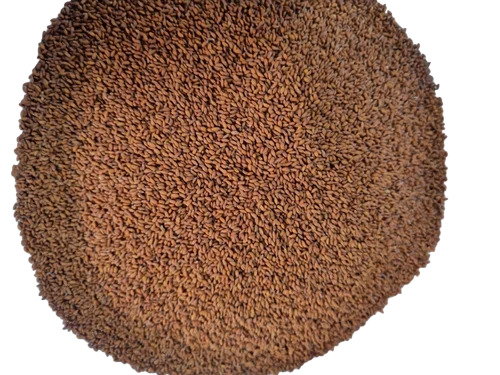 Brown Asaliya Seeds