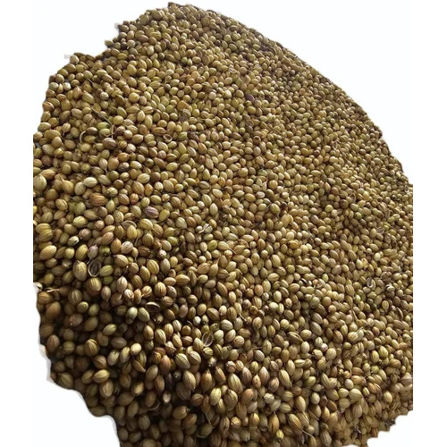 Brown Dry Coriander Seeds