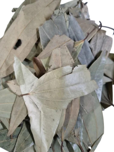 Olive Green Dried Bay Leaf