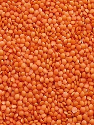 Red Masoor Dal