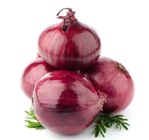 35mm Plus Red Onion