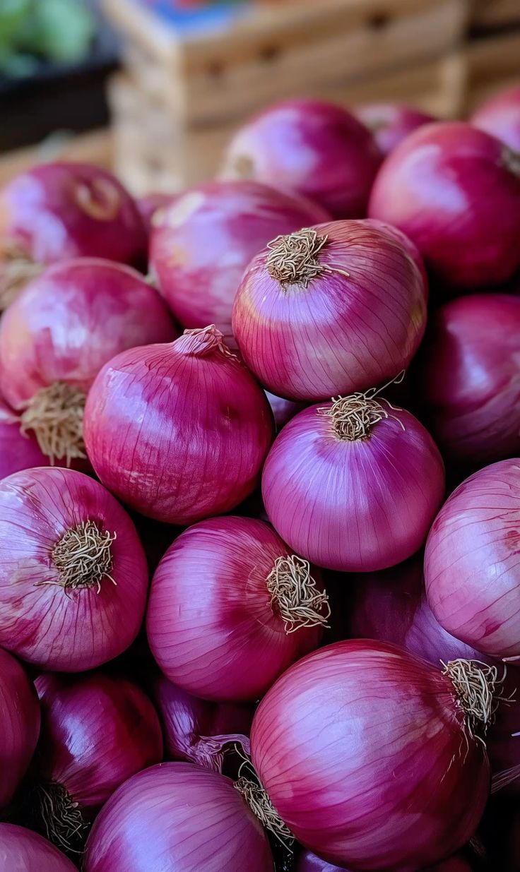 Fresh Red Onion - Cultivation Type: Natural