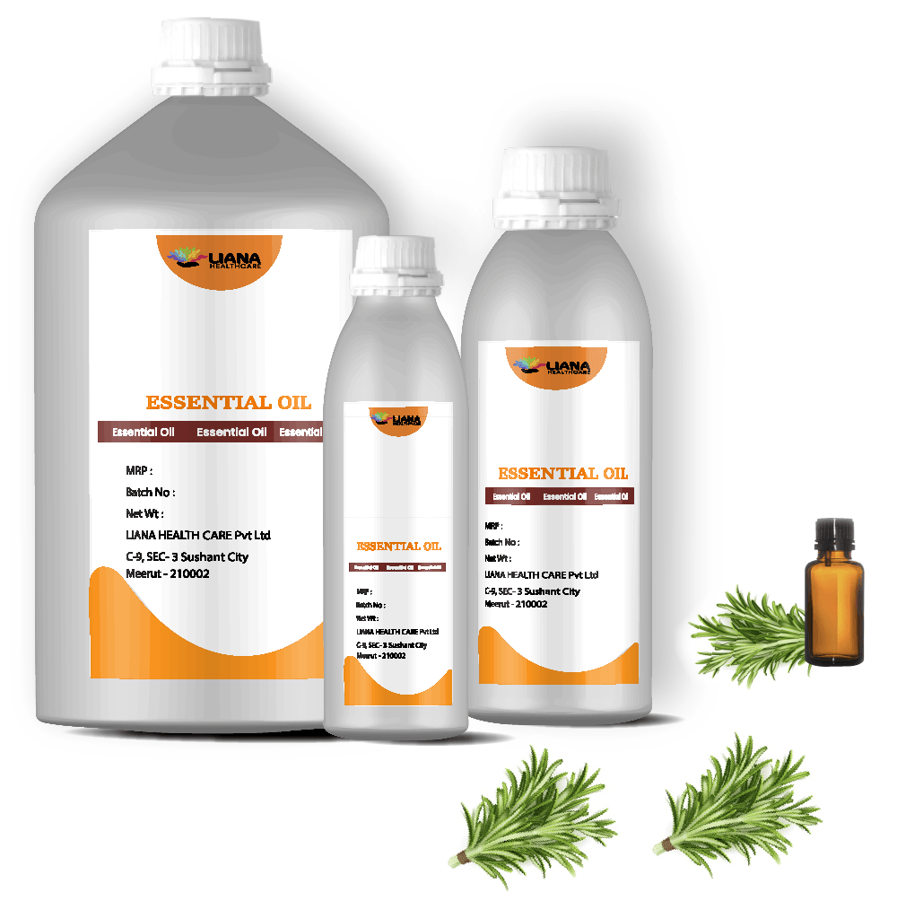 Thyme Essential Oil Bulk Pure Thyme Oil - Purity: 99.6