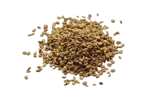 Ajwain Seeds - Color: Brown