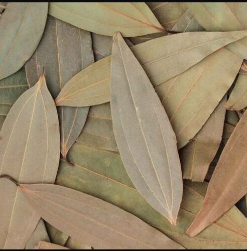 Bay Leaf - Color: Green