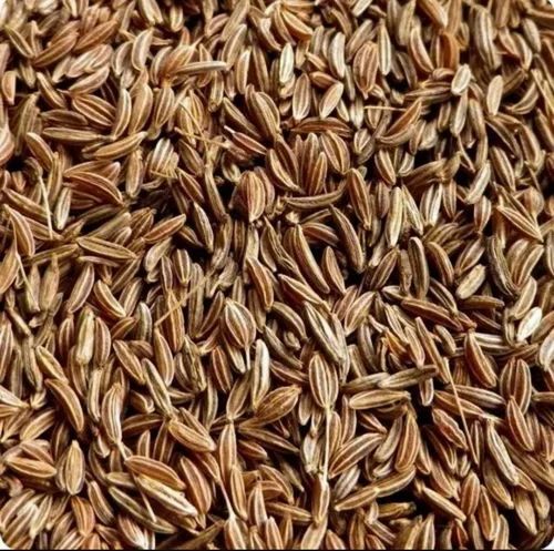 Caraway Seeds - Color: Brown