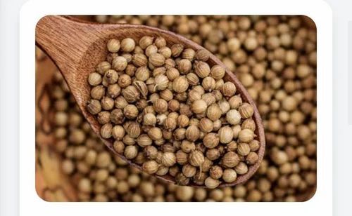 Coriander Seeds