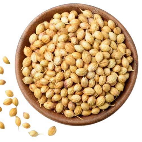 Coriander Seeds