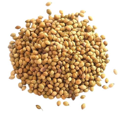 Coriander Seeds