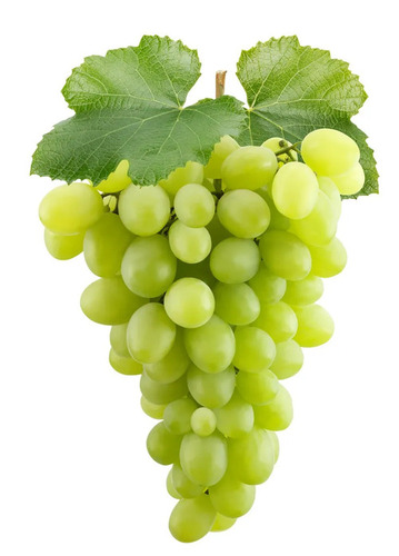 Fresh Green Grapes - Color: Na