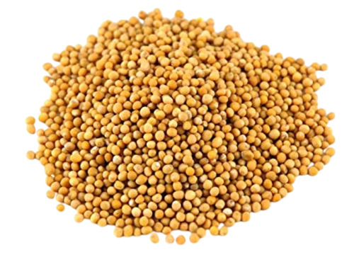 Mustard Seeds