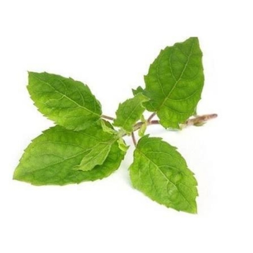 Natural Basil