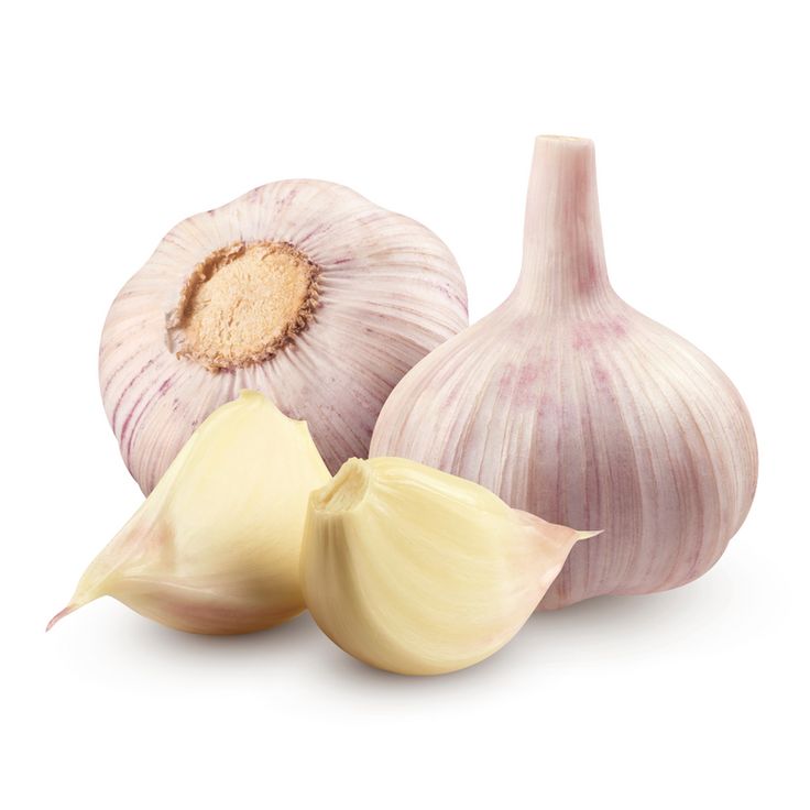 Premium Export Quality Indian Fresh Garlic - Cultivation Type: Common