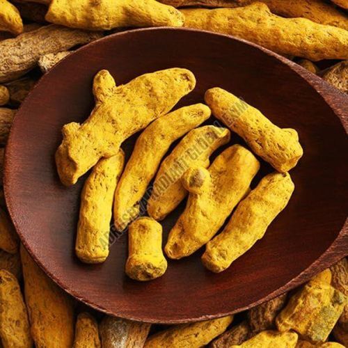 Rajapuri Turmeric Finger