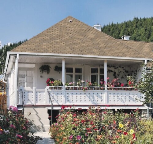 Shingles For Roofs
