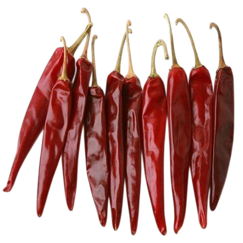 Teja Stemmed Dried Red Chilli