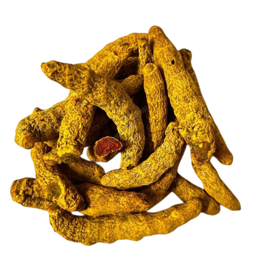 Waigaon Turmeric Finger