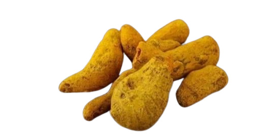 2.5 Inch Dried Turmeric Finger