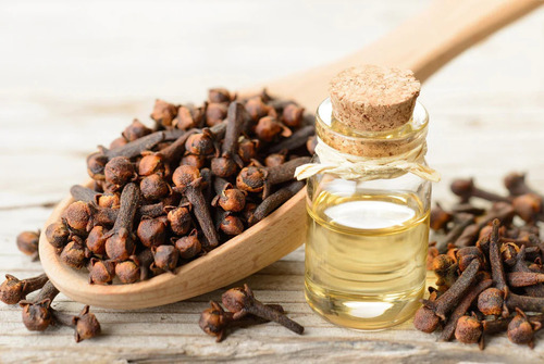 Clove Bud Essential Oil