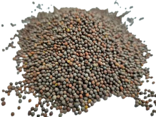 Natural Mustard Seeds