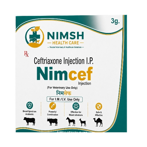 Nimcef 3 gm Injection