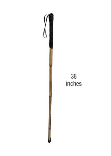 Walking Stick
