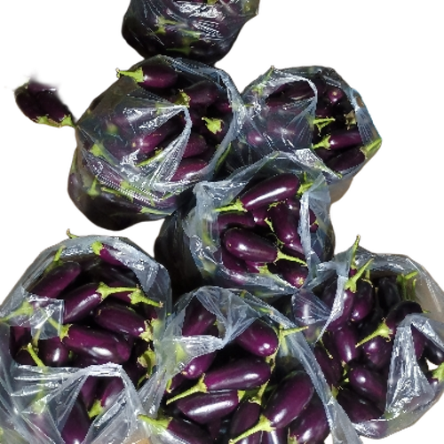 Fresh Brinjal