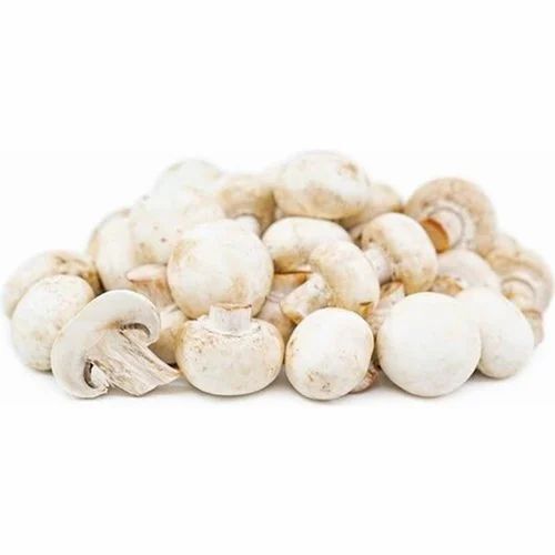 500gm White Button Mushroom