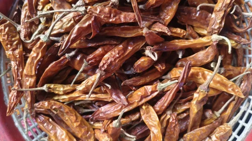 8% Moisture Dried Yellow Chilli